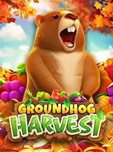 Groundhog Harvest