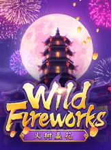 wild fireworks