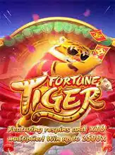 Fortune Tiger