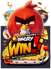 Angry Win