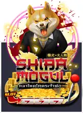 Shiba Mogul